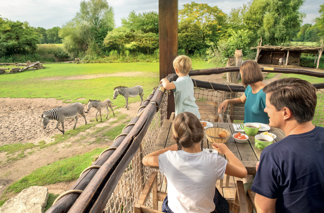 Childrens Parks & Zoos: A Fun Journey for Your Kids